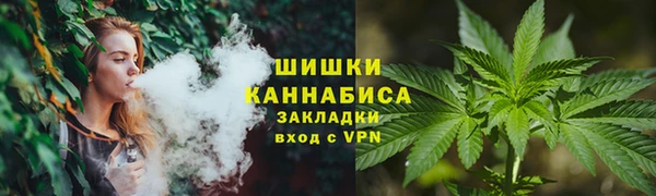 PSILOCYBIN Горнозаводск