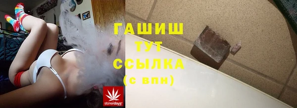 стаф Горняк