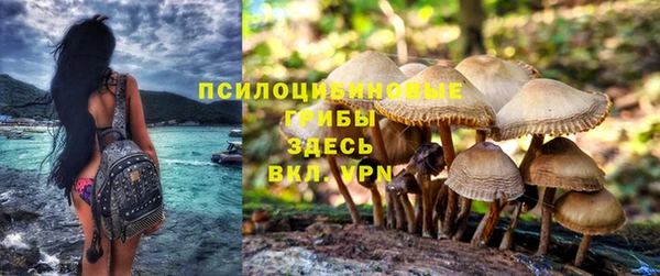 мдма Медногорск