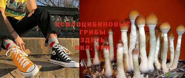 Альфа ПВП Медвежьегорск