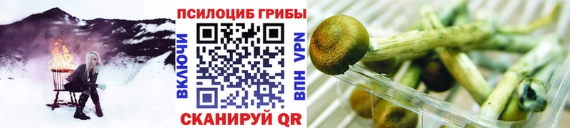 Псилоцибиновые грибы Magic Shrooms  Дегтярск 